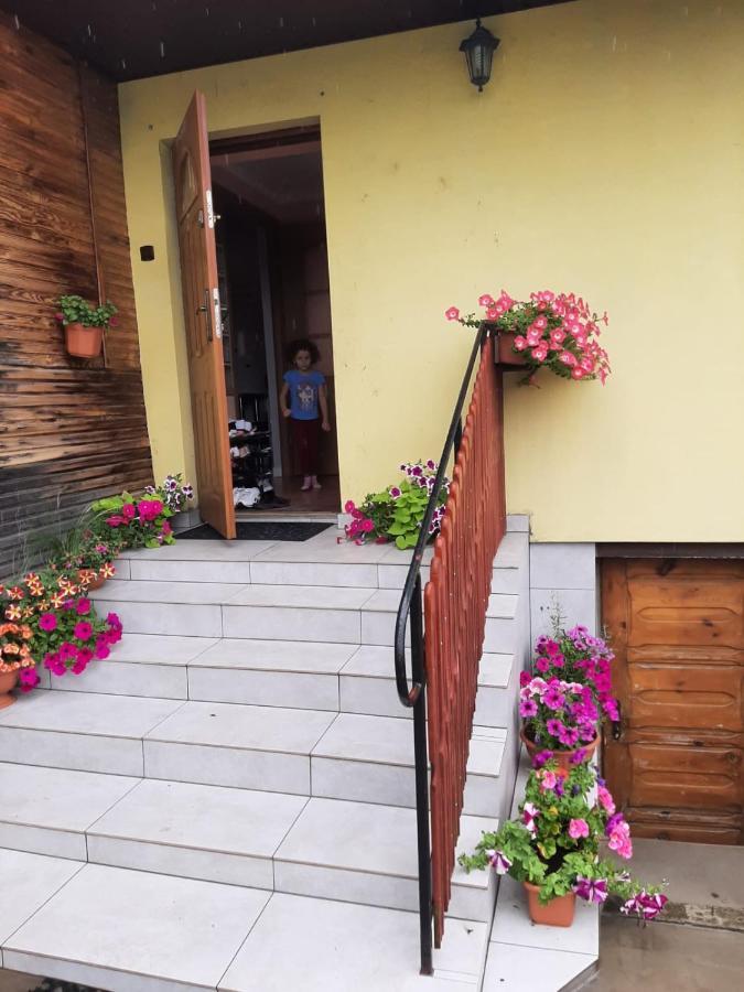 Ferienwohnung Jak W Domu Lubaczow Exterior foto